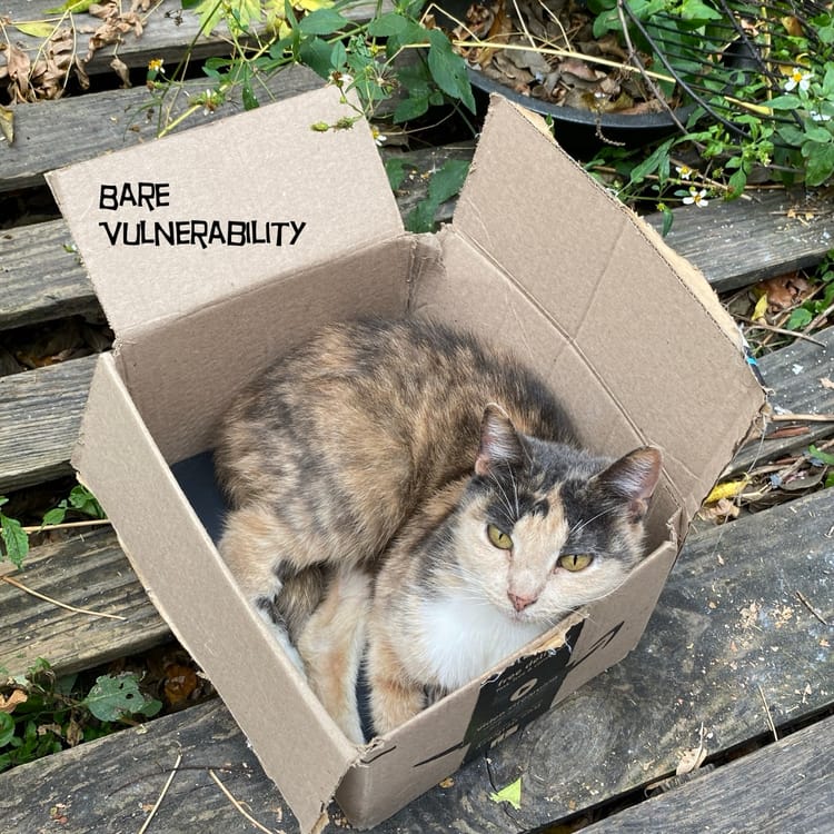 Episode 164: Bare Vulnerability