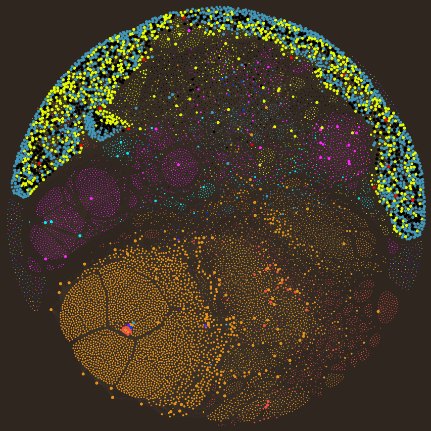 Strategic Assessment: Week 31 (August 2-8, 2025)